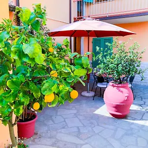 Cuore Di Nozzano Castello , Lucques Italie